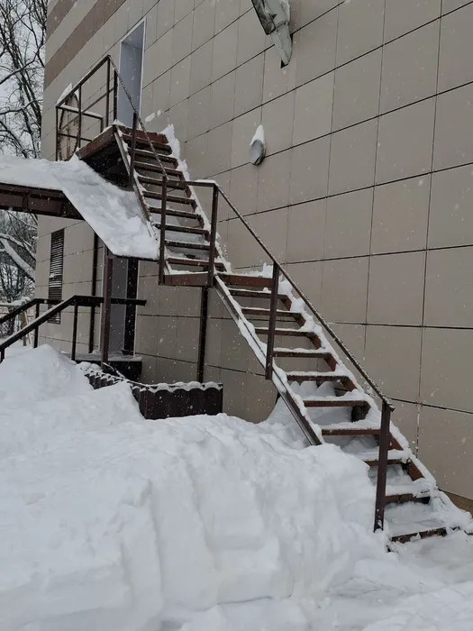 photo_2026-01-28_16-03-18 (2)