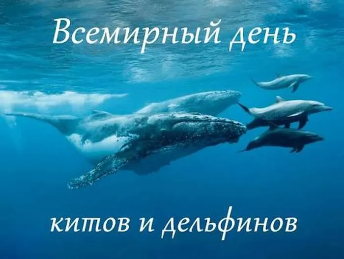 images (4)