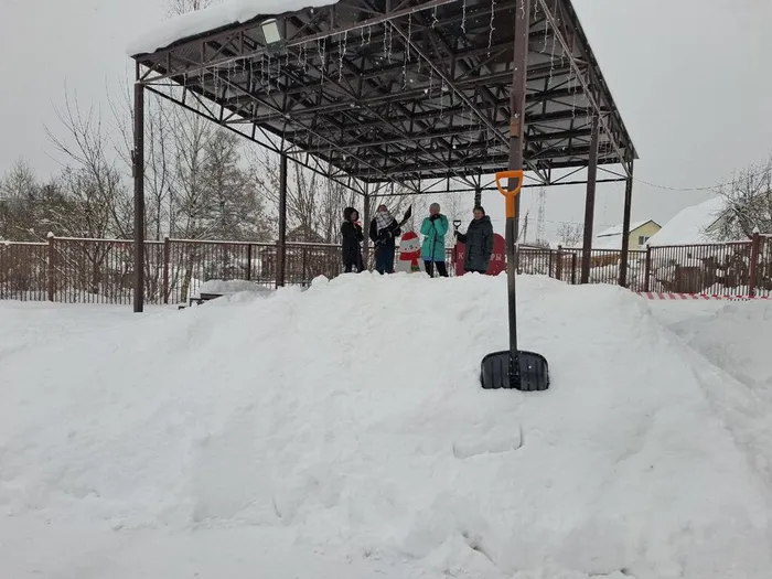 photo_2026-01-28_16-03-15